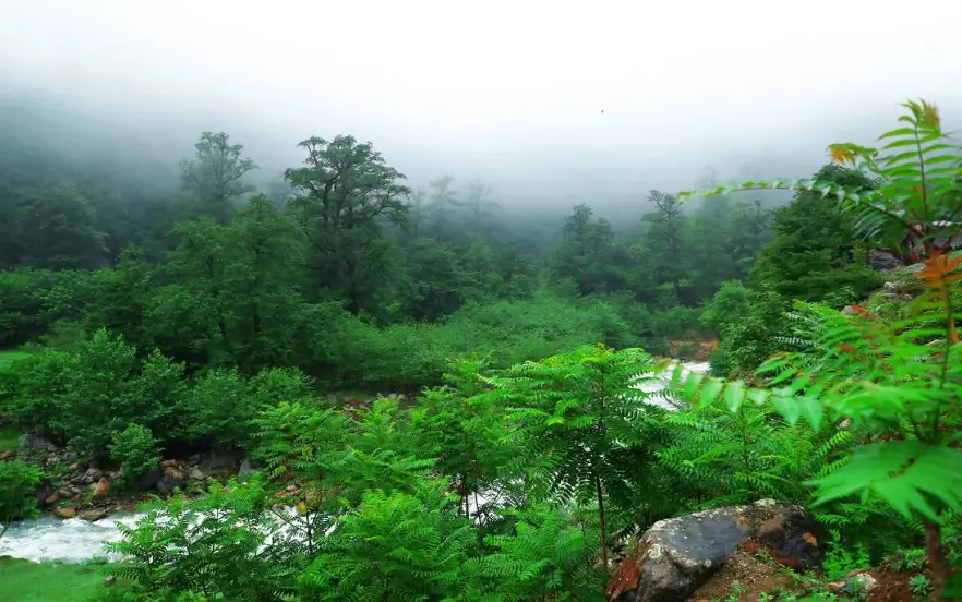 بهترین جا برای پیک نیک در جاده چالوس