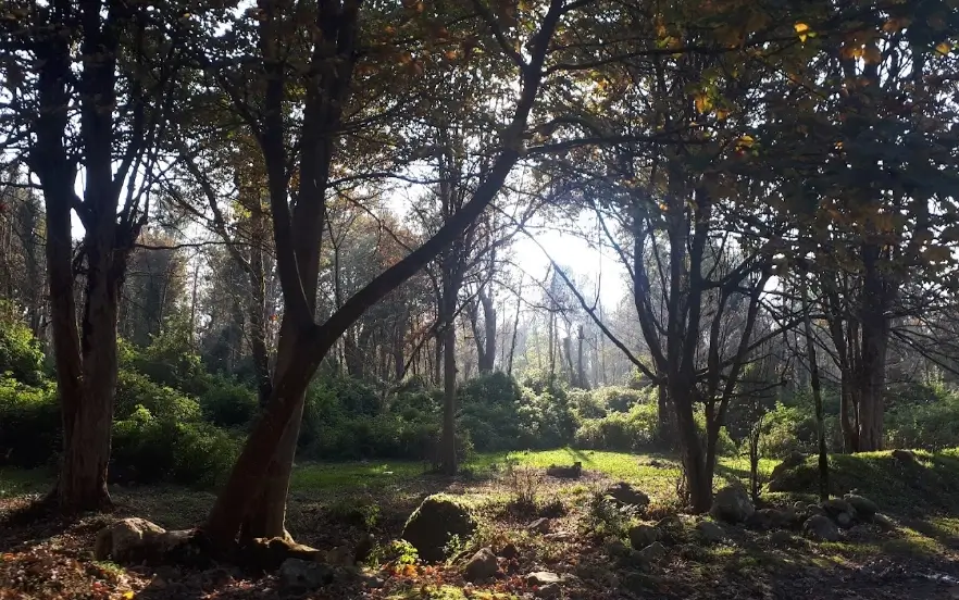 بهترین جا برای پیک نیک در جاده چالوس