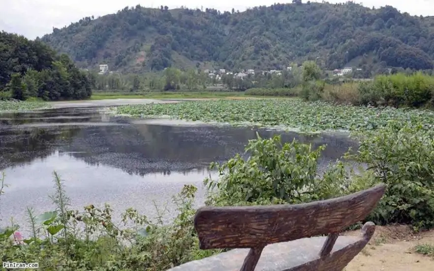 بهترین جا برای پیک نیک در جاده چالوس