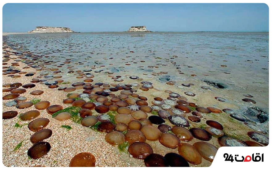 عکس جزیره قشم