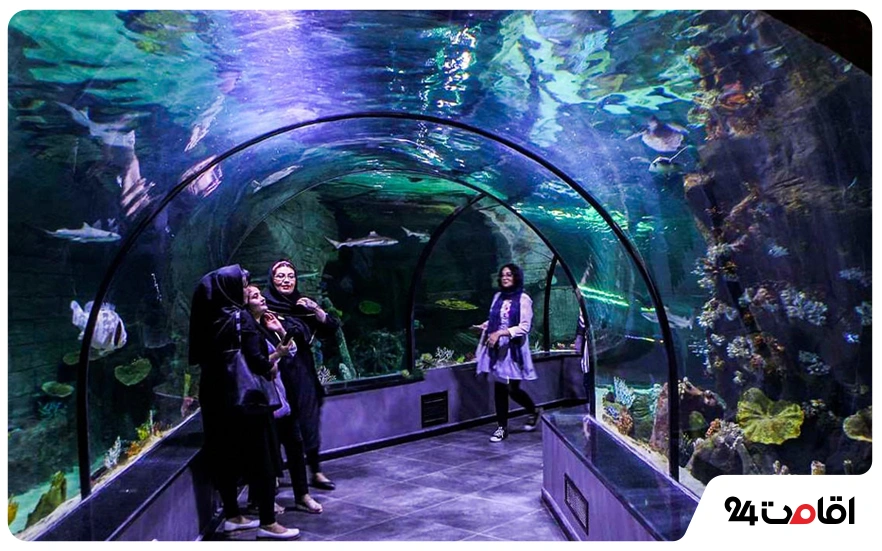 عکس جزیره قشم