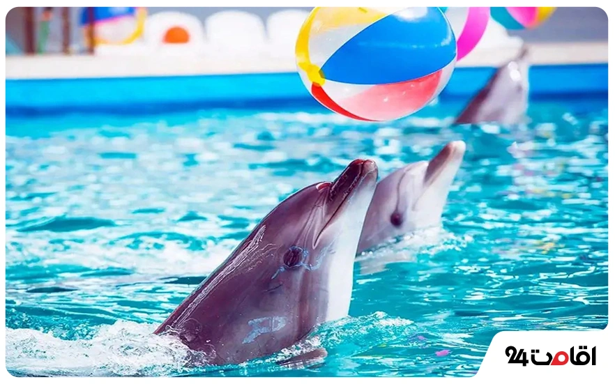 عکس جزیره قشم