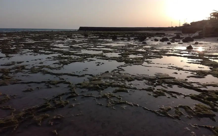 ساحل قشم در شب