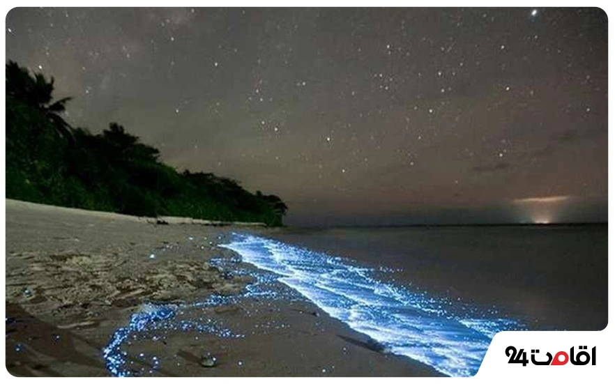 عکس جزیره قشم