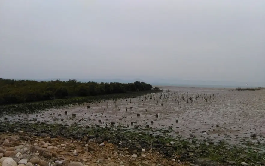 ساحل قشم در شب