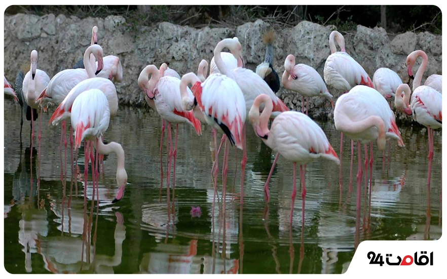 عکس جزیره قشم