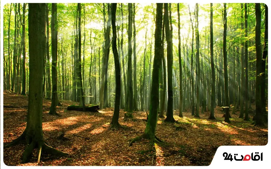 جاهای دیدنی چالوس و نوشهر