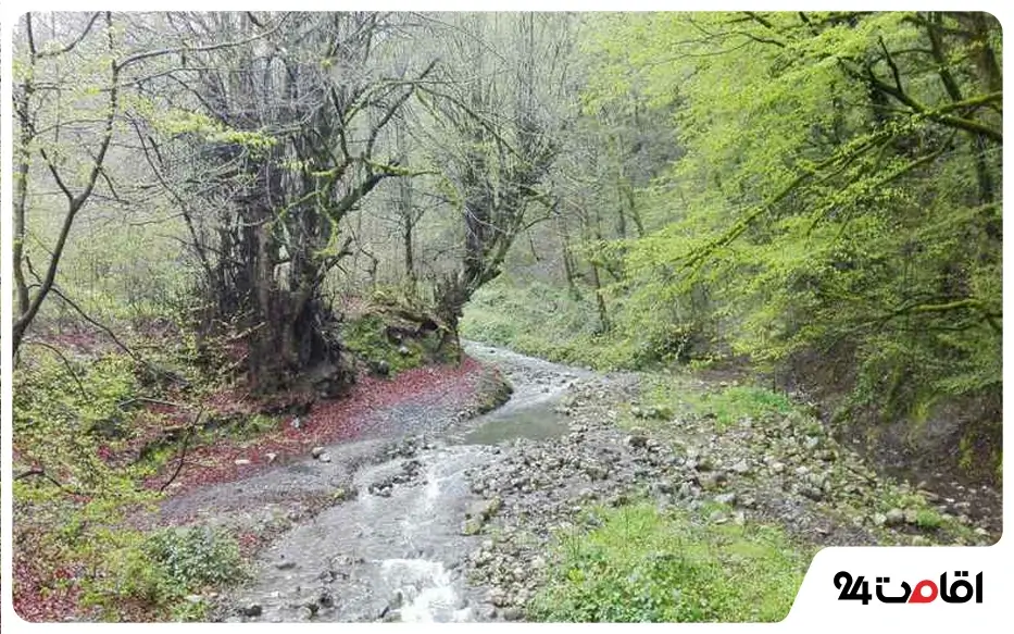 جاهای دیدنی چالوس و نوشهر