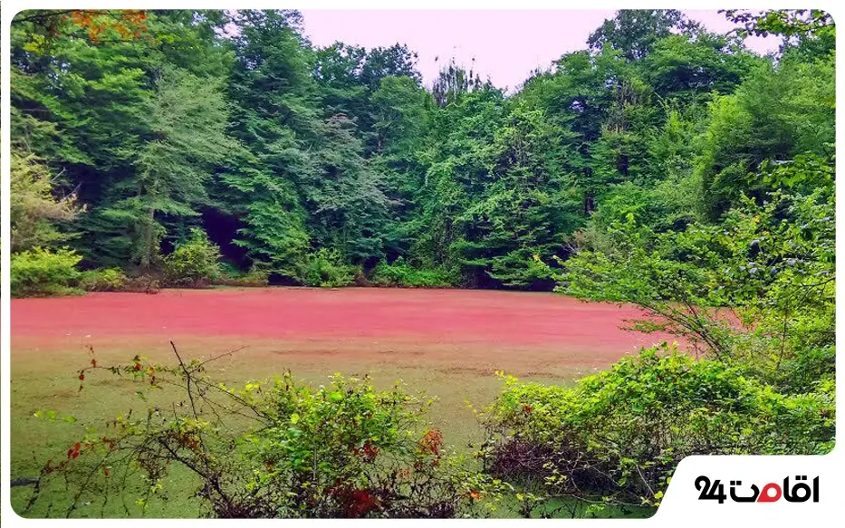 جاهای دیدنی چالوس و نوشهر