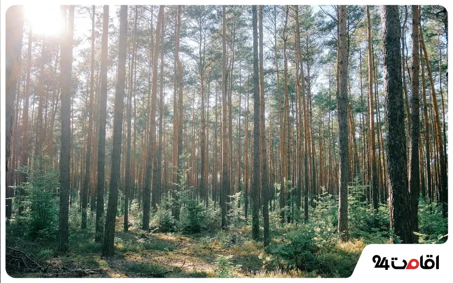 جاهای دیدنی چالوس و نوشهر