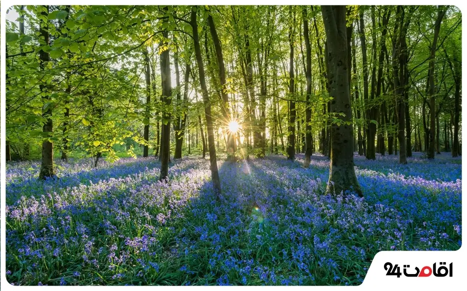 جاهای دیدنی چالوس و نوشهر