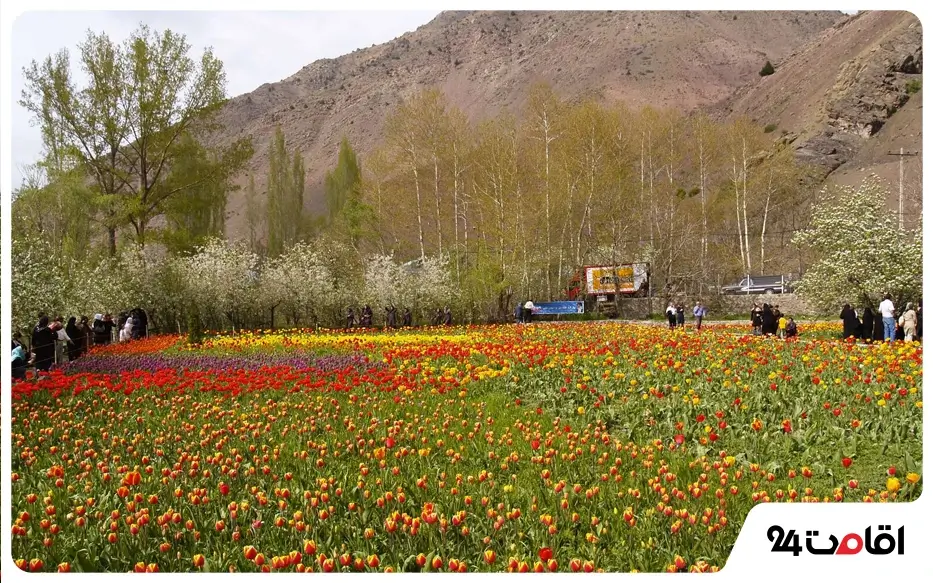 جاهای دیدنی چالوس و نوشهر