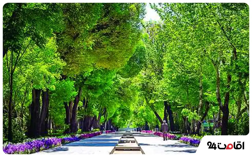 خیابان چهارباغ عباسی برای عکاسی