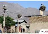روستای لک‌لک‌های بروجرد