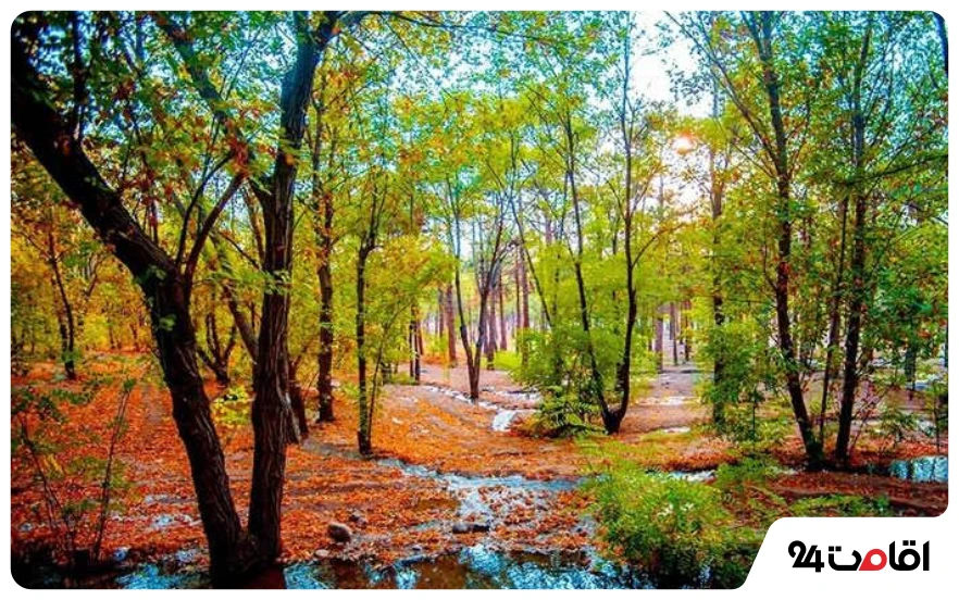 پارک چیتگر در پاییز