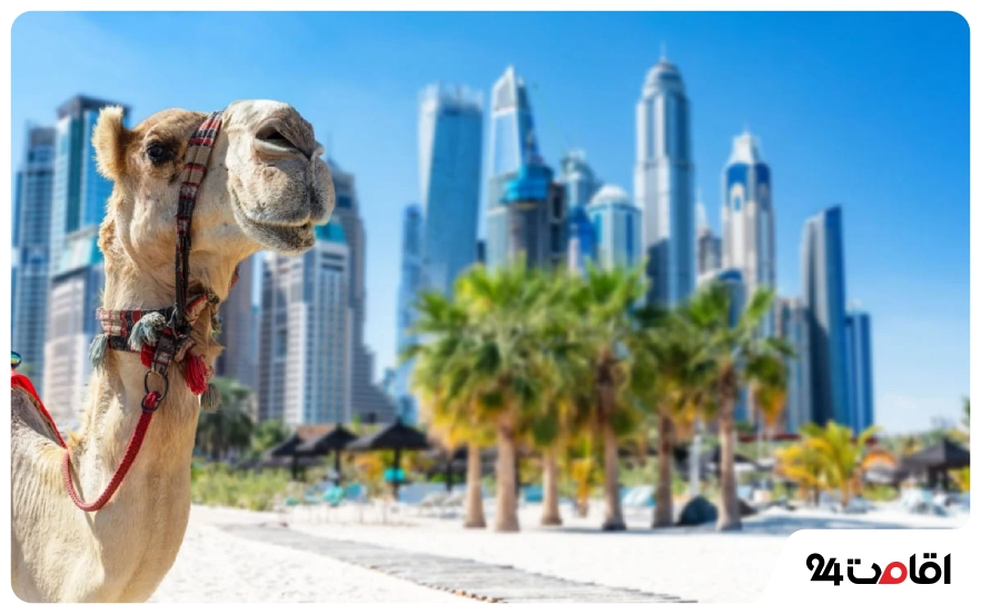چطور به دبی سفر کنیم؟ 