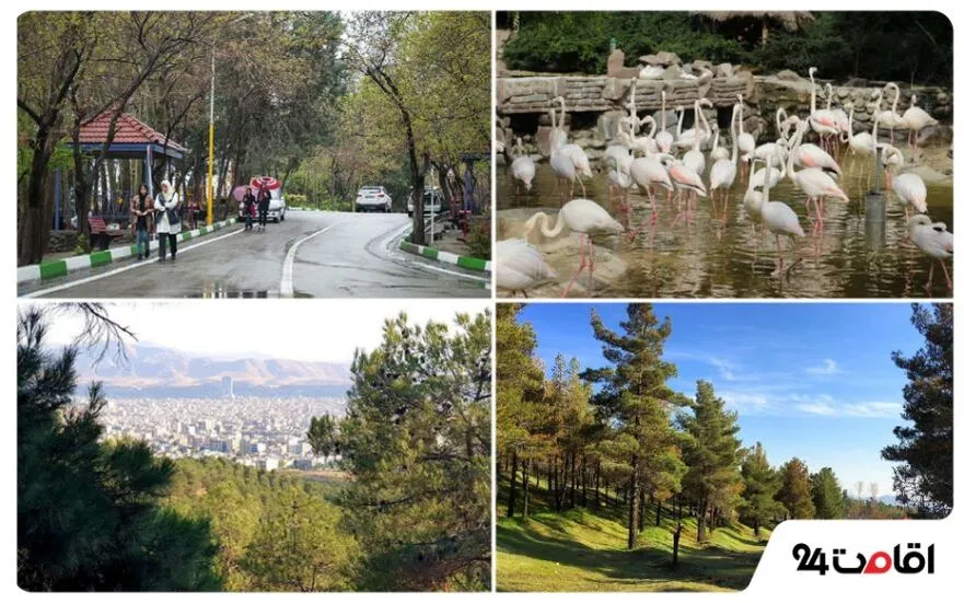 پارک جنگلی لویزان