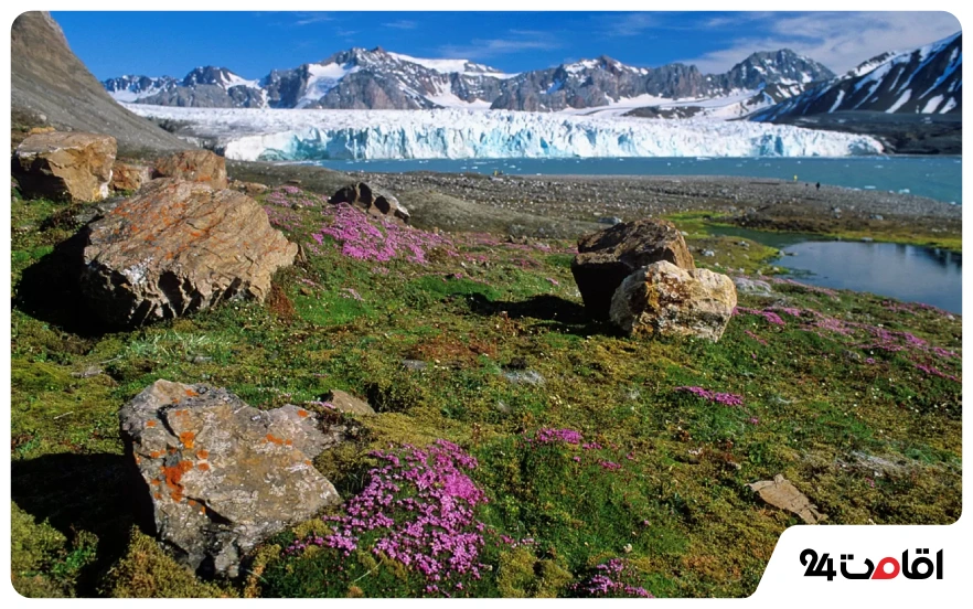 کشور اسوالبارد