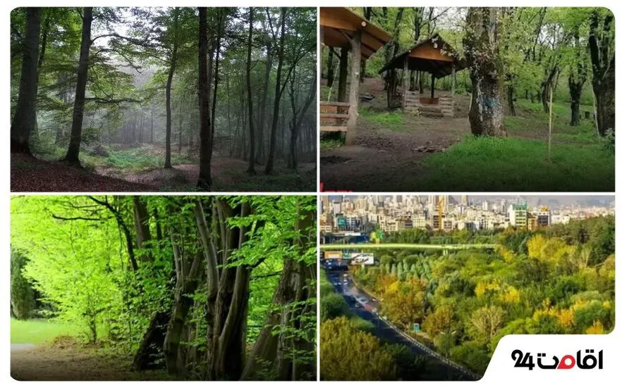 پارک توسکا تهران