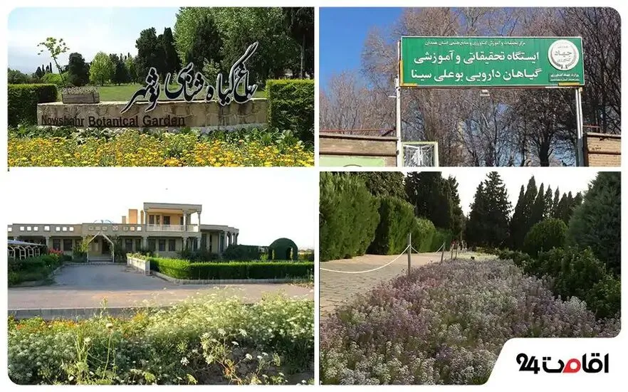 باغ‌های اقماری