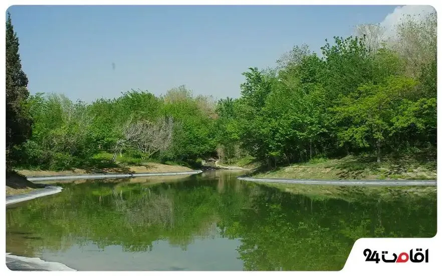 رویشگاه هیرکانی 
