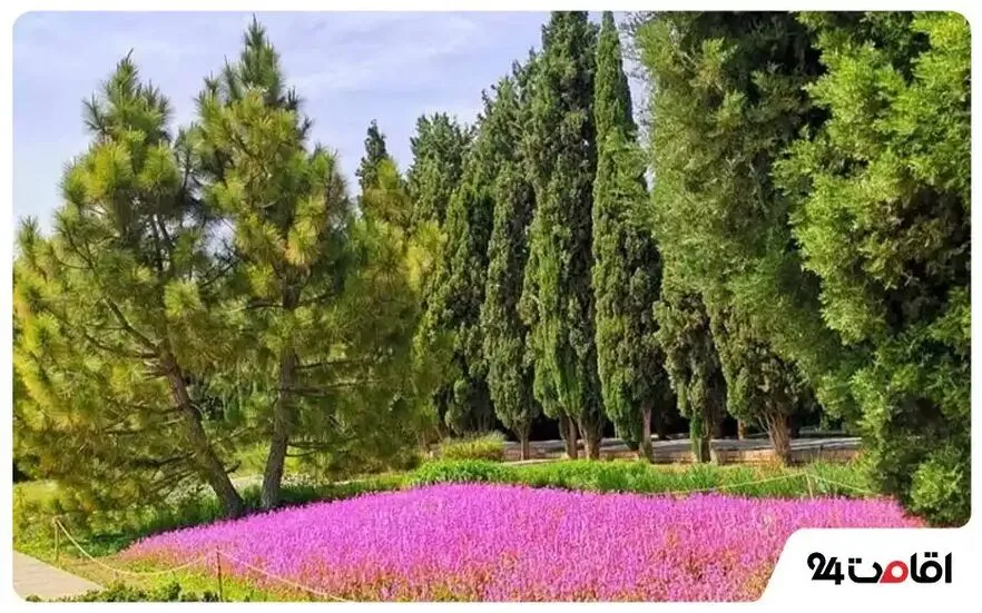 جنگل و گردشگاه (شاکای)