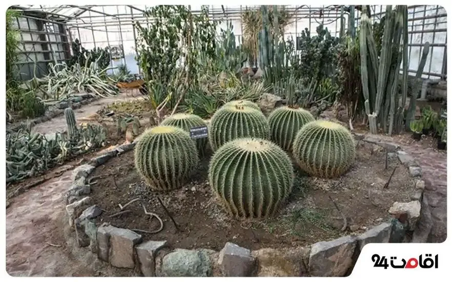 گلخانه جنوب ایران 