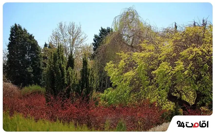 کلکسیون‌های موضوعی