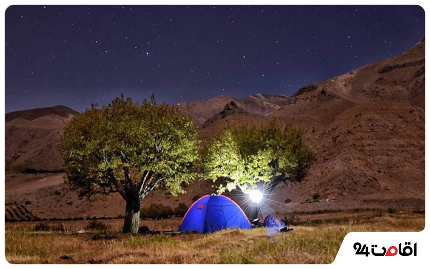 بومگردی دشت هویج
