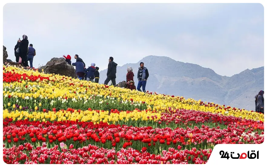 طبیعت دشت گل اطراف تهران