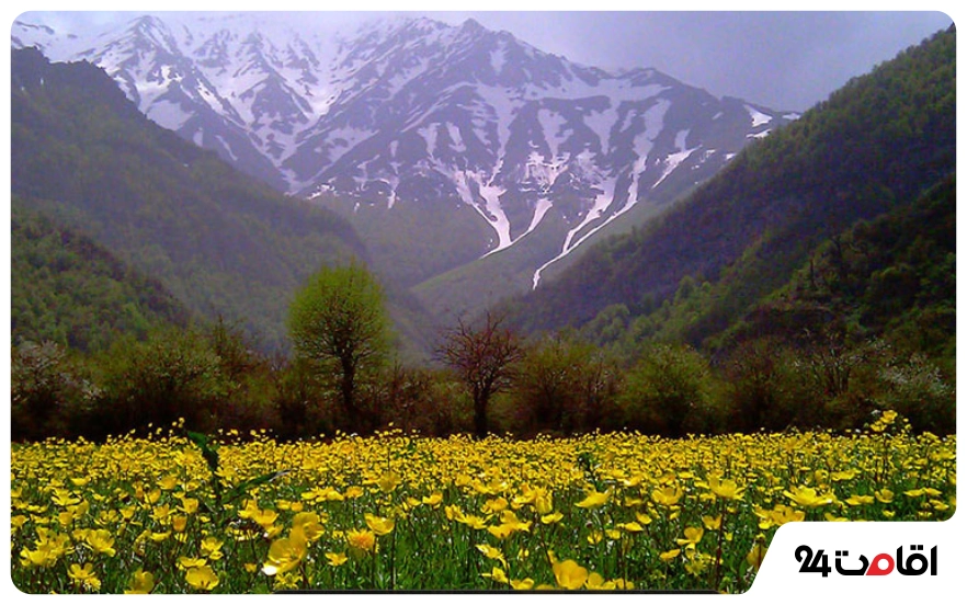 دشت هویج در اردیبهشت