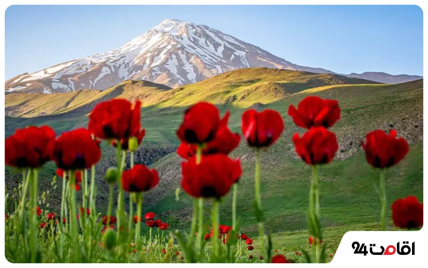 دشت لار یکی از دیدنی‌ترین جاهای تفریحی تهران با خانواده