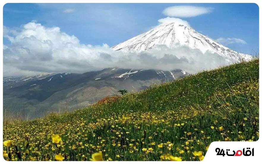 گونه های گیاهی کوه دماوند