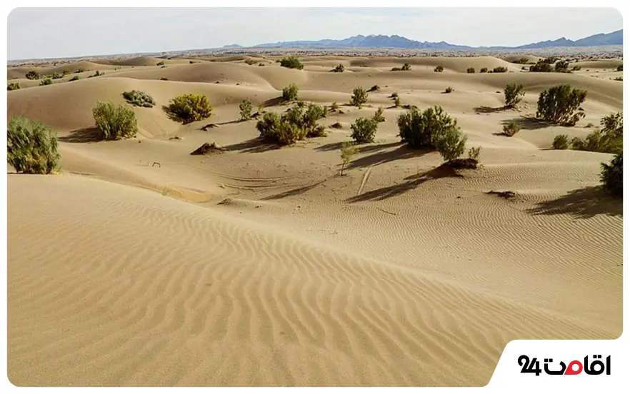 کویر کاراکال