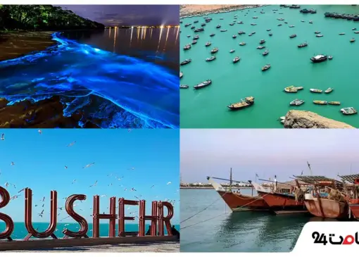 Travel to Bushehr or Chabahar