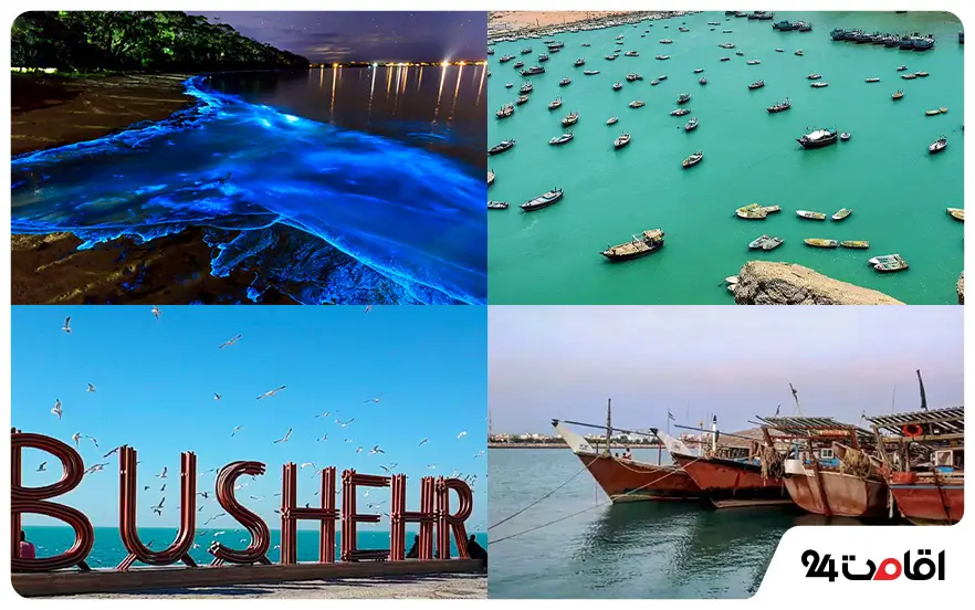 Travel to Bushehr or Chabahar