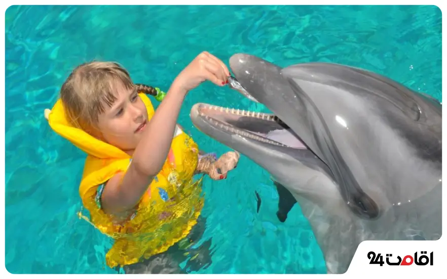 دلفیناریوم استانبول (Istanbul Dolphinarium)