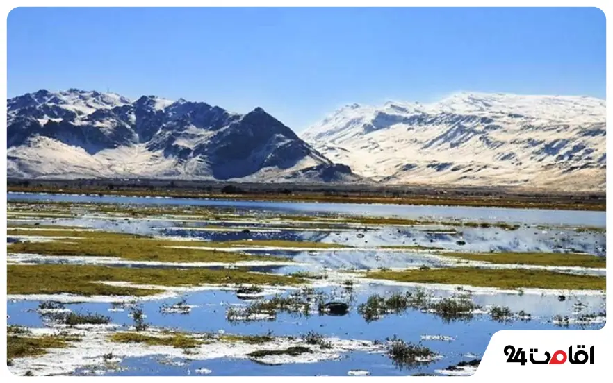 Gandoman International Wetland - تالاب بین المللی گندمان 