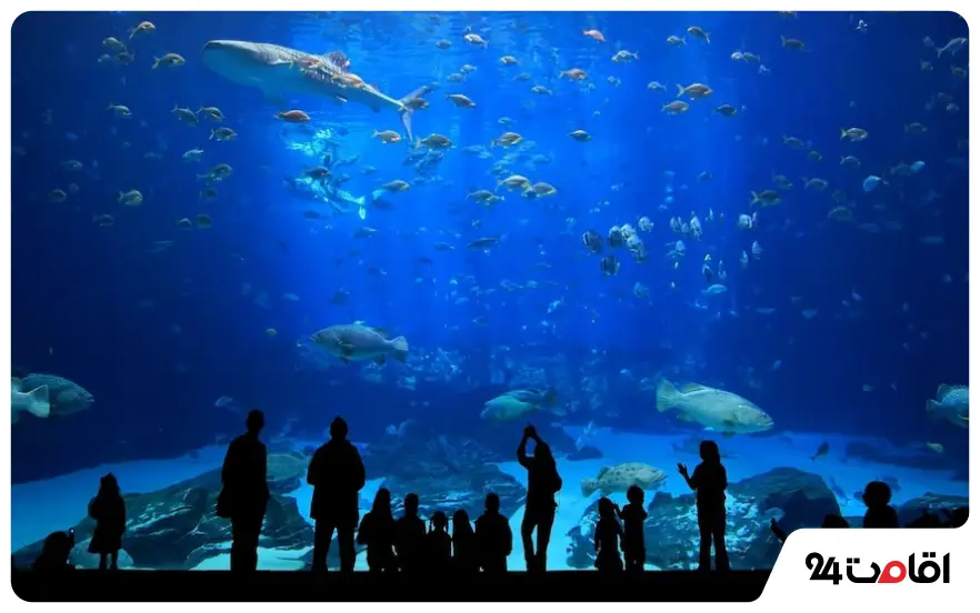 آکواریوم استانبول (Istanbul Aquarium)
