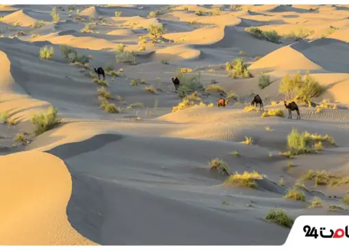 کویر مرنجاب