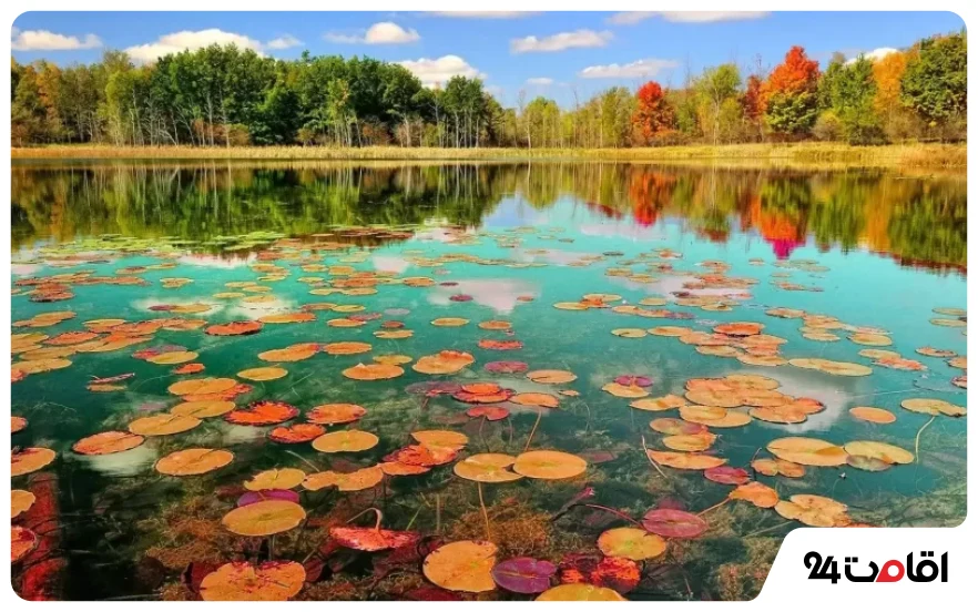ساحل و تالاب انزلی در پاییز