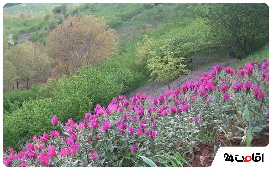 روستای اشکورات رودسر