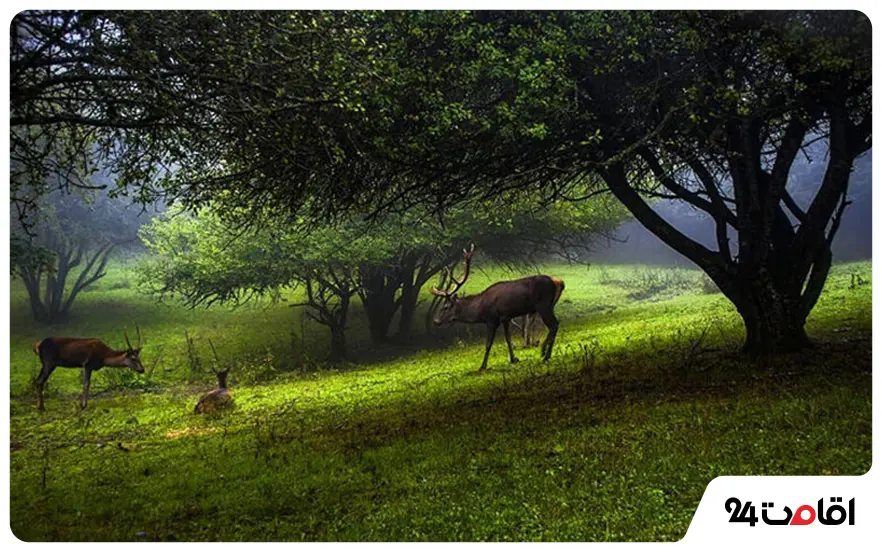 منطقه حفاظت شده آینالو تبریز