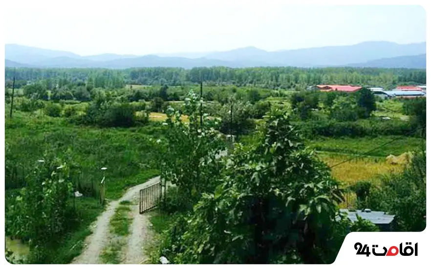 روستای بداب شفت
