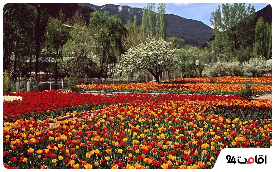 باغ لاله گچسر آسارا