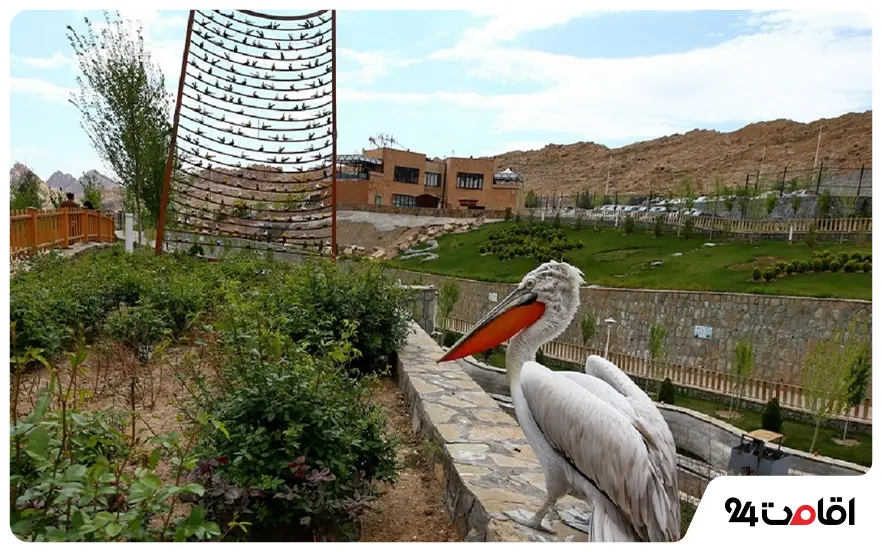 باغ پرندگان قم