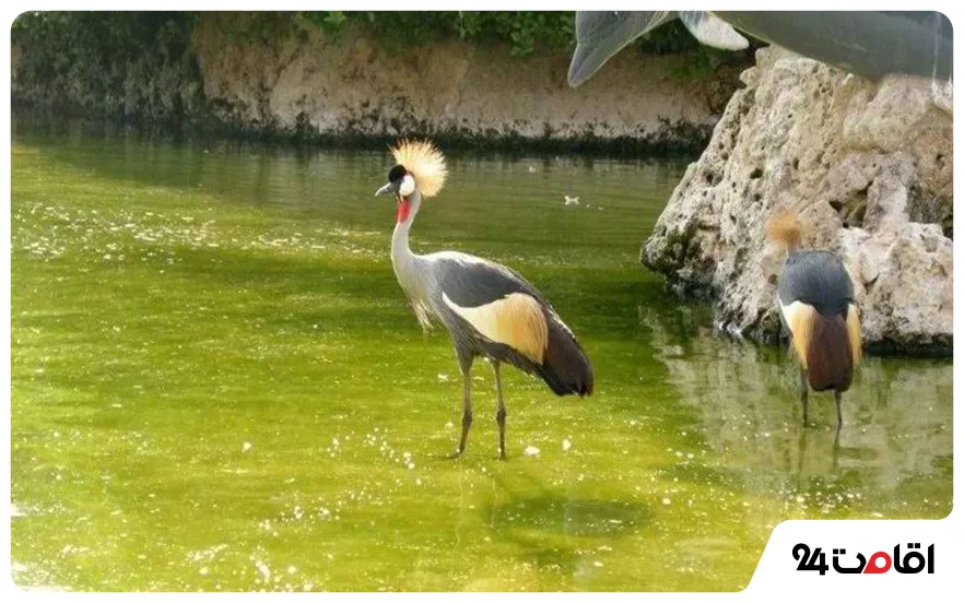 باغ پرندگان چهارباغ