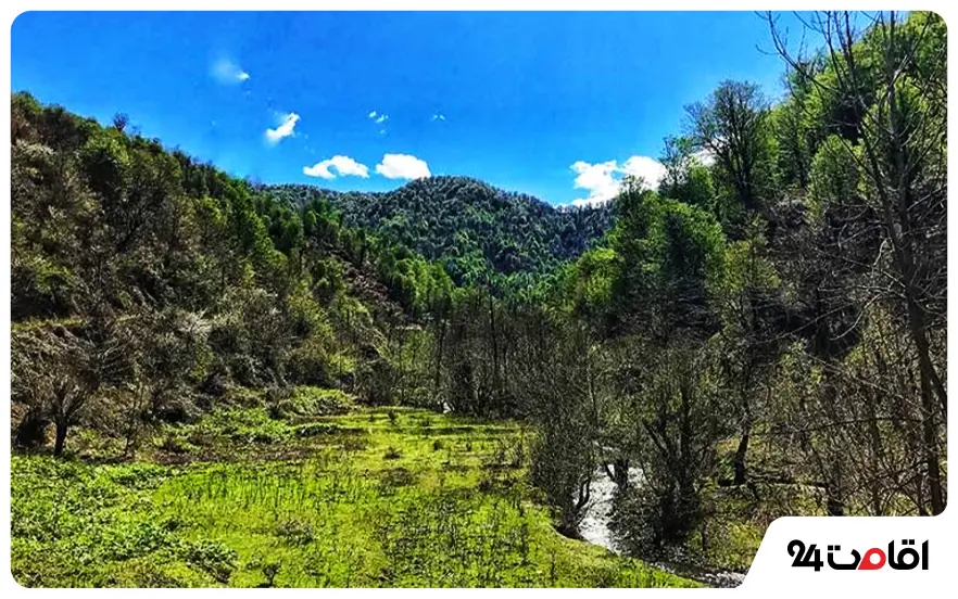 روستای چنار رودخان شفت