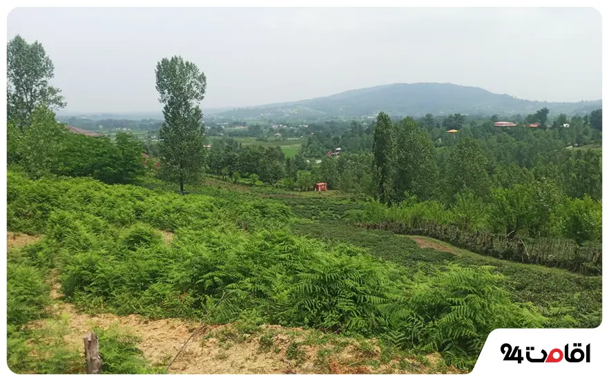 روستای دستخط محله