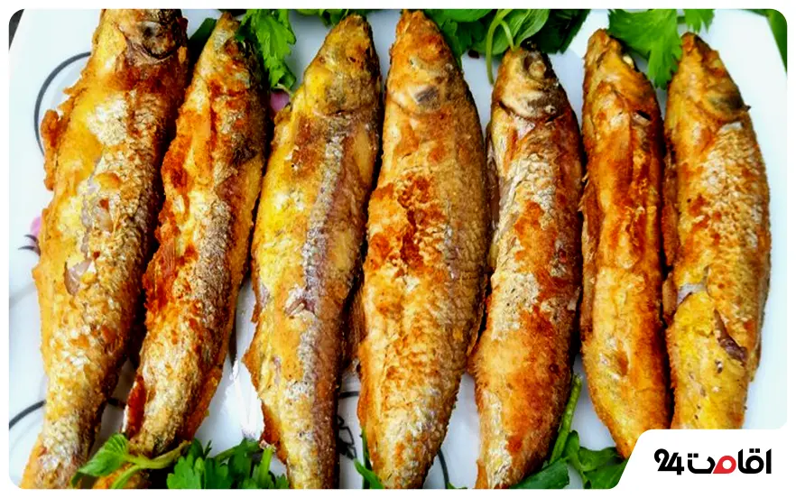 کولی ماهی غذای محلی شمالی